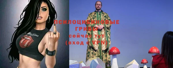 ПСИЛОЦИБИНОВЫЕ ГРИБЫ Козельск