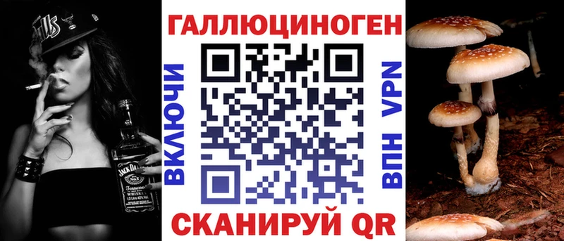 Псилоцибиновые грибы Psilocybe  Купить закладки  Пучеж 
